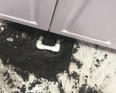 四会查漏水哪家好