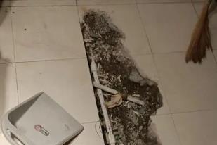 四会卫生间漏水检测电话